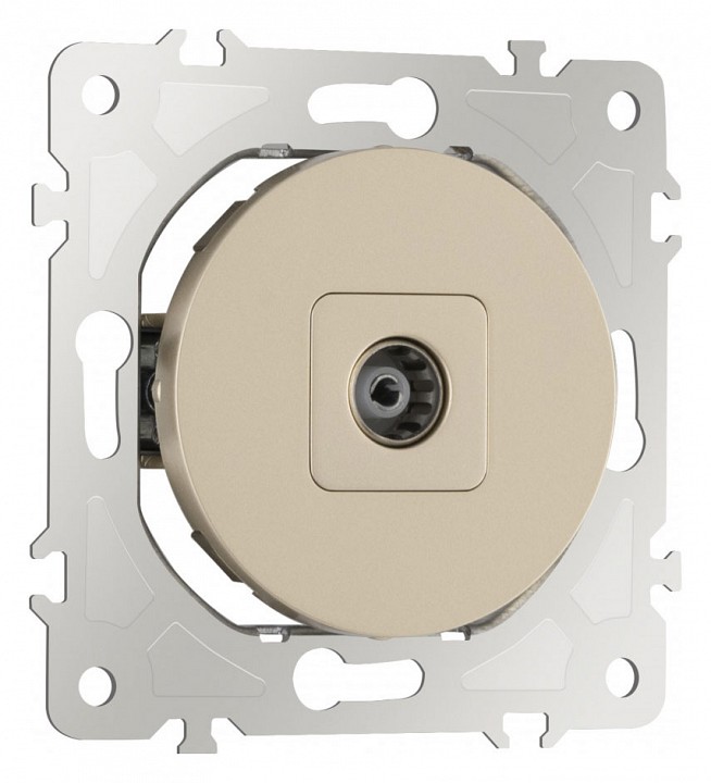 ТВ-розетка без рамки Arte Milano am-202 202.43-1.shampan в интернет-магазине "Галерея света"