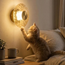 Накладной светильник Citilux JANTAR CL240313 в интернет-магазине "Галерея света"