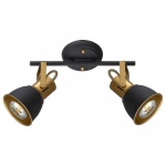 Спот Arte Lamp Jovi A1677PL-2GO в интернет-магазине "Галерея света"