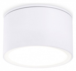 Накладной светильник Ambrella Light TN TN6522 в интернет-магазине "Галерея света"