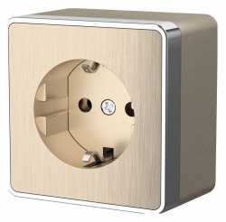 Розетка с заземлением Werkel Gallant (шампань рифленый) W5071010 в интернет-магазине "Галерея света"