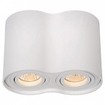 Накладной светильник Lucide Tube 22952/02/31 в интернет-магазине "Галерея света"