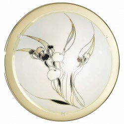 Накладной светильник Eglo Planet 3 83199 в интернет-магазине "Галерея света"