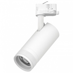 Светильник на штанге Lightstar Canno Pro C4206QT в интернет-магазине "Галерея света"
