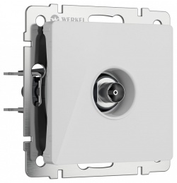 ТВ-розетка без рамки Werkel белый акрил W1183041 в интернет-магазине "Галерея света"