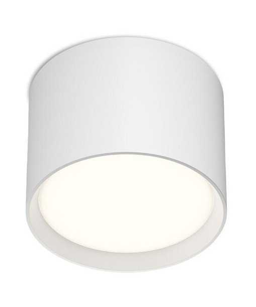 Накладной светильник Denkirs Pillar DK-DH2600-WH в интернет-магазине "Галерея света"