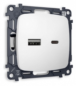 Розетка 2хUSB type A и C без рамки Ambrella Volt OMEGA MO131010 в интернет-магазине "Галерея света"