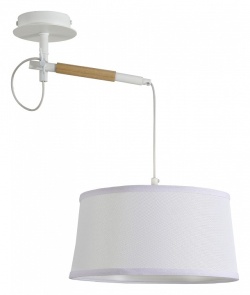 Светильник на штанге F-promo Eureka 3005-1P в интернет-магазине "Галерея света"