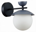 Бра EVOLUCE Genova SLE220201-01 в интернет-магазине "Галерея света"