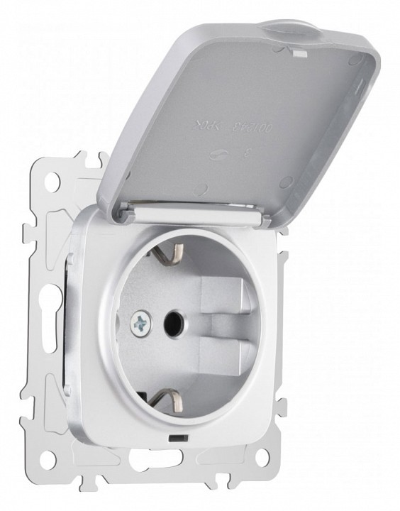 Розетка влагозащищенная с заземлением и со шторкой с крышкой Arte Milano am-205 205.41-1.silver в интернет-магазине "Галерея света"