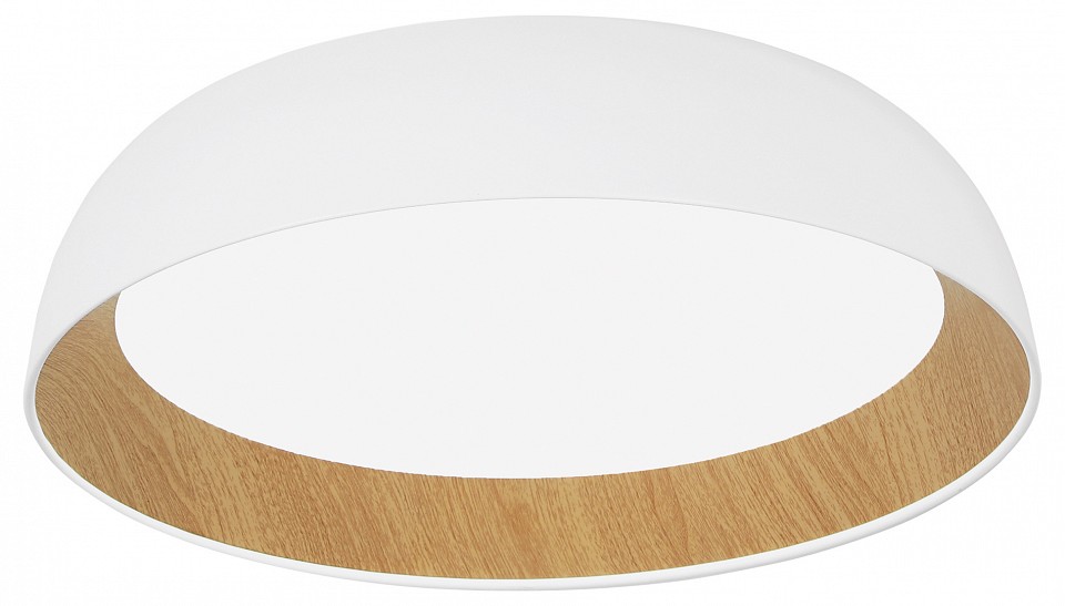 Накладной светильник EVOLUCE MUSE SLE1812-502-01 в интернет-магазине "Галерея света"