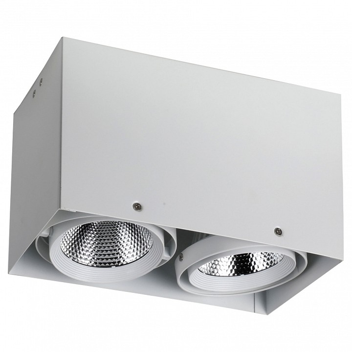 Накладной светильник Favourite Flashled 1986-2U в интернет-магазине "Галерея света"