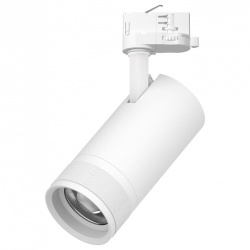 Светильник на штанге Lightstar Canno Pro C4306QT в интернет-магазине "Галерея света"
