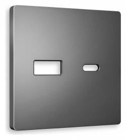 Накладка для розетки type A и C Ambrella Volt ALFA AP6610 в интернет-магазине "Галерея света"