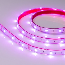Лента светодиодная Arlight RTW герметичная 028711 в интернет-магазине "Галерея света"