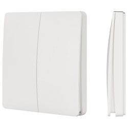 Выключатель беспроводной  двухклавишный Arlight TUYA 031685 в интернет-магазине "Галерея света"