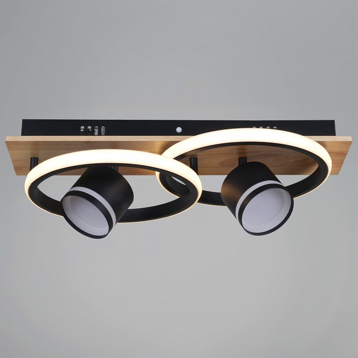 Накладной светильник 29560-0.3-2+2 BK+WOOD в интернет-магазине "Галерея света"