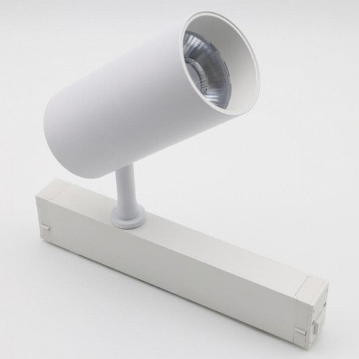 Светильник на штанге Aployt Magnetic track 220 APL.0205.10.20 в интернет-магазине "Галерея света"