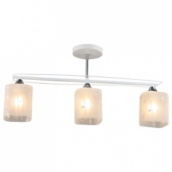 Светильник на штанге 01698 01698-0.3-03 в интернет-магазине "Галерея света"