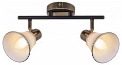 Светильник на штанге  05901-0.8-02 BK+FGD в интернет-магазине "Галерея света"