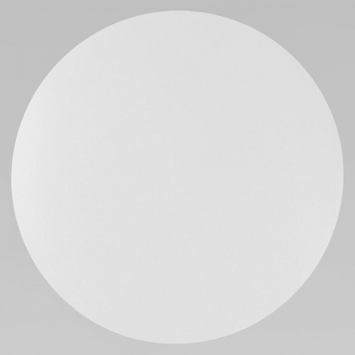 Накладной светильник TK Lighting Luna 6009 Luna White в интернет-магазине "Галерея света"