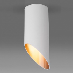 Накладной светильник Elektrostandard 7011, 7005 a050119 в интернет-магазине "Галерея света"