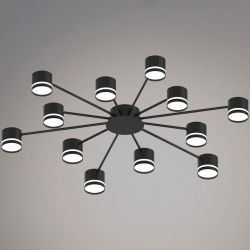 Потолочная люстра 06730-0.3-12 GX53 BK в интернет-магазине "Галерея света"