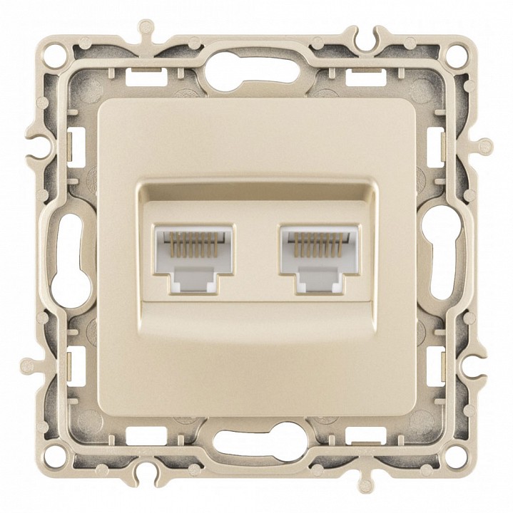 Розетка Ethernet RJ-45 без рамки Arte Milano am-217 217.45-2.shampan в интернет-магазине "Галерея света"