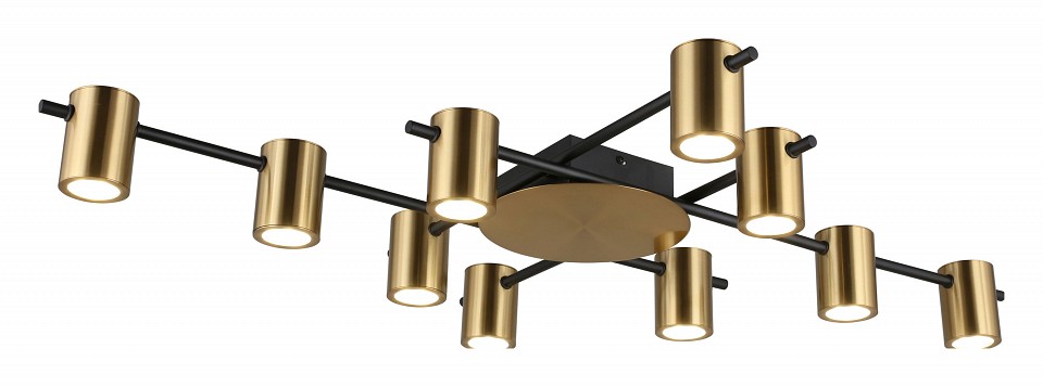 Потолочная люстра Aployt Elwisia APL.633.07.10 в интернет-магазине "Галерея света"