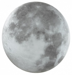 Накладной светильник Sonex Moon 3084/DLN в интернет-магазине "Галерея света"