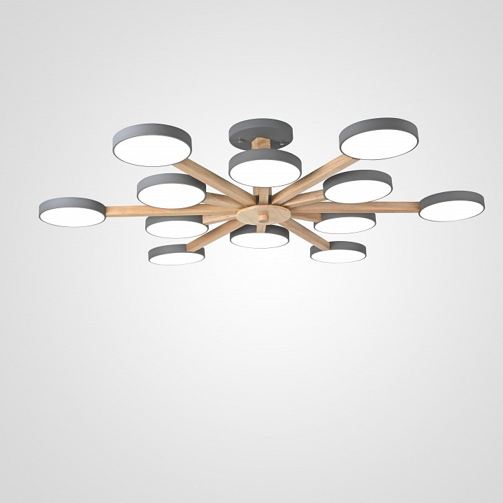 Люстра на штанге Imperiumloft TURNA Gray TURNA-B01 в интернет-магазине "Галерея света"