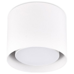 Накладной светильник Ambrella Light TN TN700 в интернет-магазине "Галерея света"