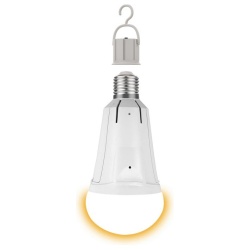 Лампа светодиодная Gauss  E27 12Вт 3000K 102002112 в интернет-магазине "Галерея света"