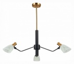 Люстра на штанге EVOLUCE Lita SLE205403-03 в интернет-магазине "Галерея света"