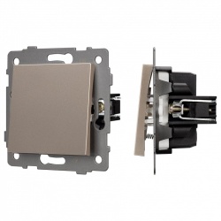 Выключатель самовозвратный одноклавишный без рамки Arlight SWT 049882 в интернет-магазине "Галерея света"