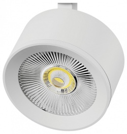 Плафон металлический Lightstar Alta Pro 215546 в интернет-магазине "Галерея света"