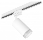 Светильник на штанге Lightstar Rullo R1T43630 в интернет-магазине "Галерея света"