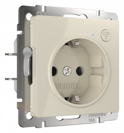 Розетка с заземлением и со шторками, без рамки с Wi-Fi Werkel слоновая кость W1171603 в интернет-магазине "Галерея света"