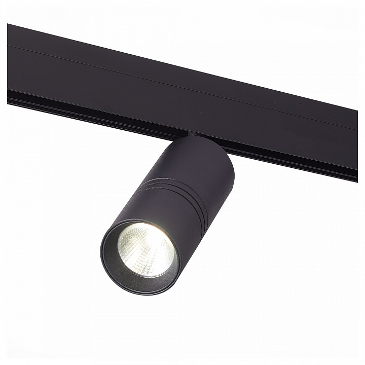 Светильник на штанге ST-Luce SKYLINE 48 ST365.446.20 в интернет-магазине "Галерея света"