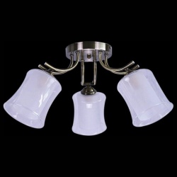 Потолочная люстра 07955-0.3-03 в интернет-магазине "Галерея света"
