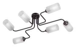 Потолочная люстра Vitaluce 4310 V4310-1/6PL в интернет-магазине "Галерея света"