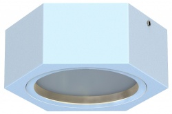 Накладной светильник Favourite Fantum 4665-1U в интернет-магазине "Галерея света"