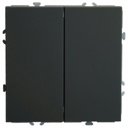 Переключатель двухклавишный без рамки Stekker Эмили 49843 в интернет-магазине "Галерея света"