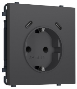 Розетка с заземлением и со шторкой и 2хUSB C, без рамки Ambrella Volt MS MS910510 в интернет-магазине "Галерея света"
