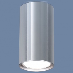 Накладной светильник Elektrostandard 1081 a038491 в интернет-магазине "Галерея света"