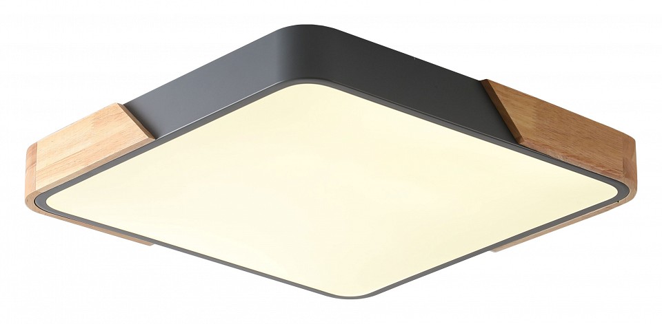 Накладной светильник Zortes Alberro ZRS.01288.48 в интернет-магазине "Галерея света"