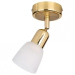 Спот Escada Fabius 5039/1PA в интернет-магазине "Галерея света"