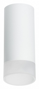 Накладной светильник Lightstar Rullo R648681 в интернет-магазине "Галерея света"