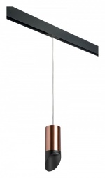 Подвесной светильник Lightstar Rullo PRORP43037 в интернет-магазине "Галерея света"