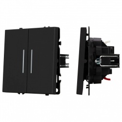 Выключатель двухклавишный без рамки Arlight SWT 054264 в интернет-магазине "Галерея света"